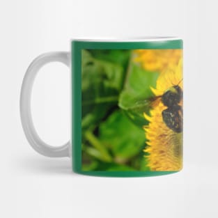 Sunny Yum on a Sunny Day, Yummy! Mug